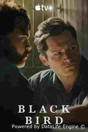 Чёрная птица