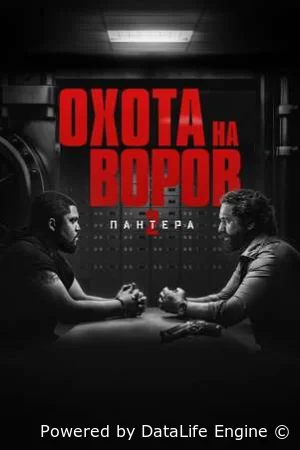 Охота на воров 2: Пантера